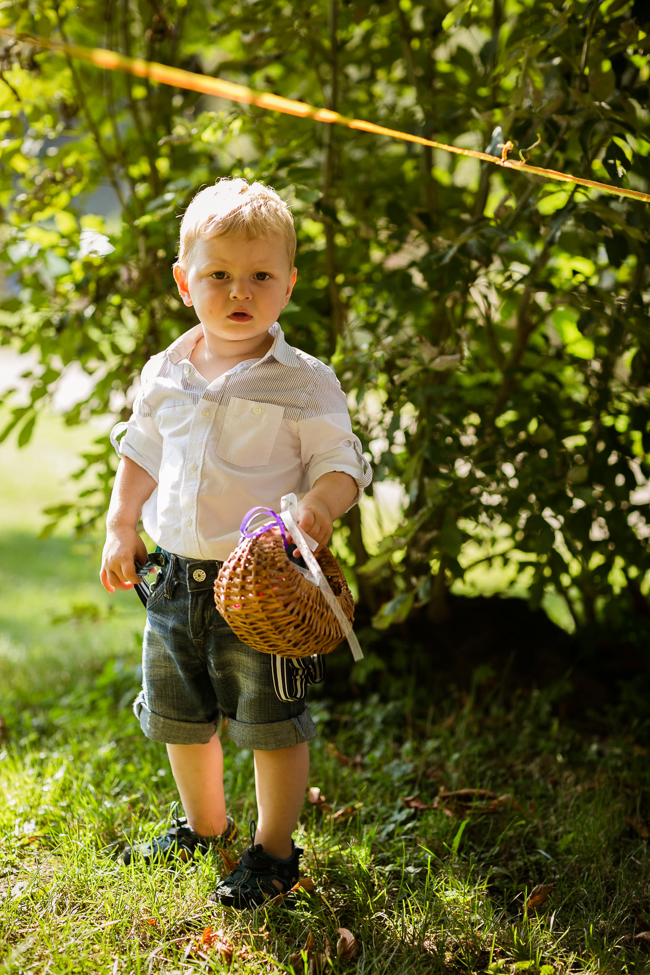 Export x3 060 HE 218 Beispiele Eva 2016